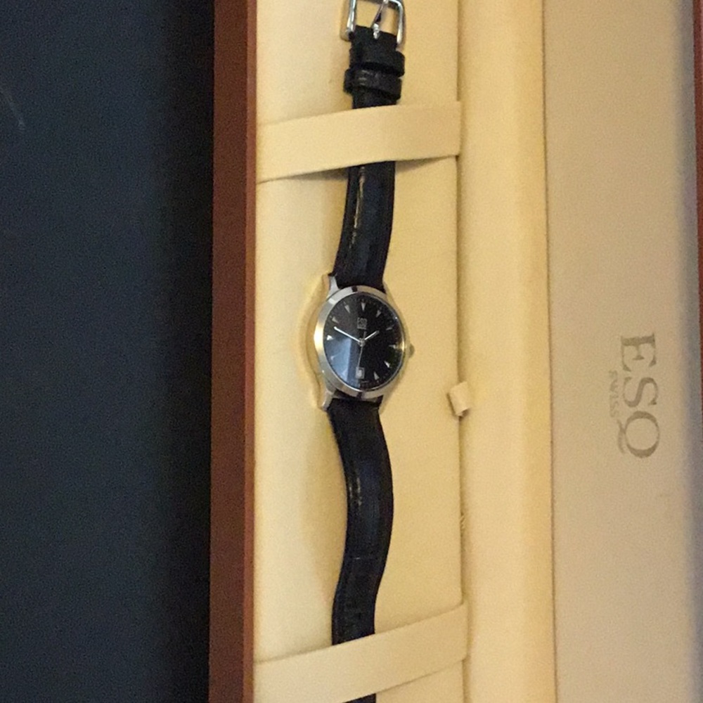 Classic ESQ leather watch
